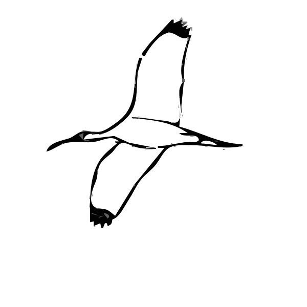 Wood Ibis bird vector image